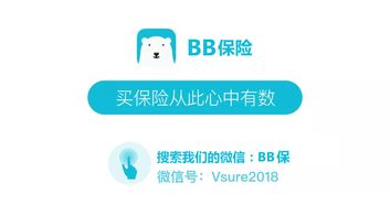 百年康惠保旗艦版純重疾險深度解讀 聚焦核心保障，守護家庭健康